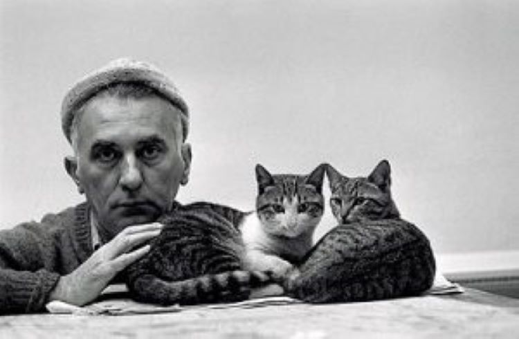 Slikar Jeremić Aleksandar Cibe, Biografija